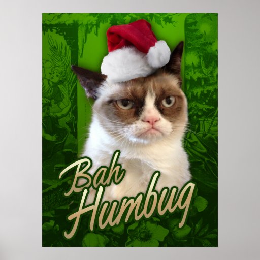 grumpy_cat_merry_christmas_bah_humbug_poster-r472018f92f73472e9ac1c156f8df25c8_wv4_8byvr_512.jpg