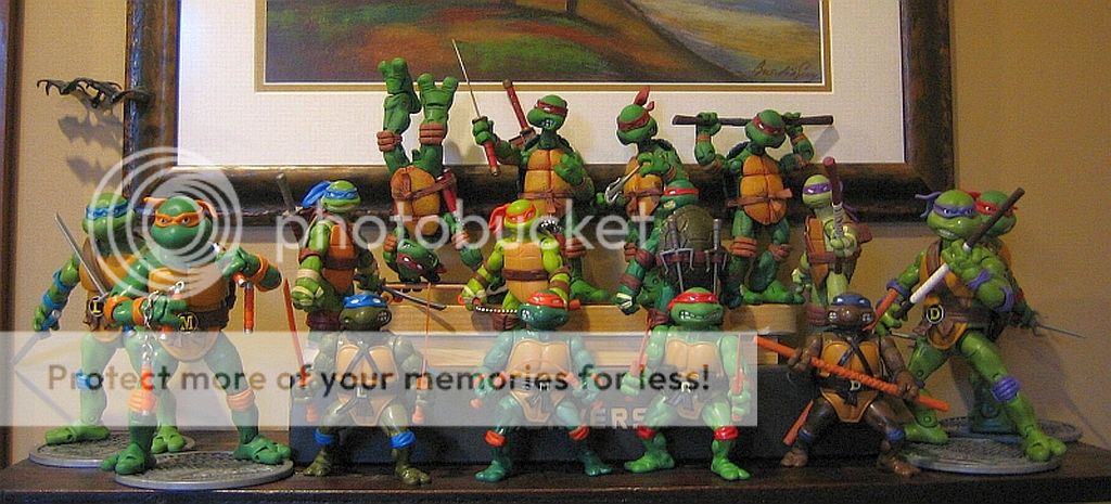 TurtleDisplay1_zps42a9a549.jpg