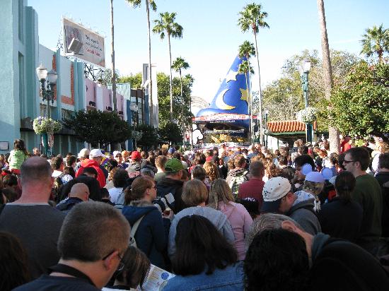 crowds-at-disney-hollywood.jpg