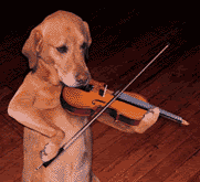 th_dog_playing_violin.gif