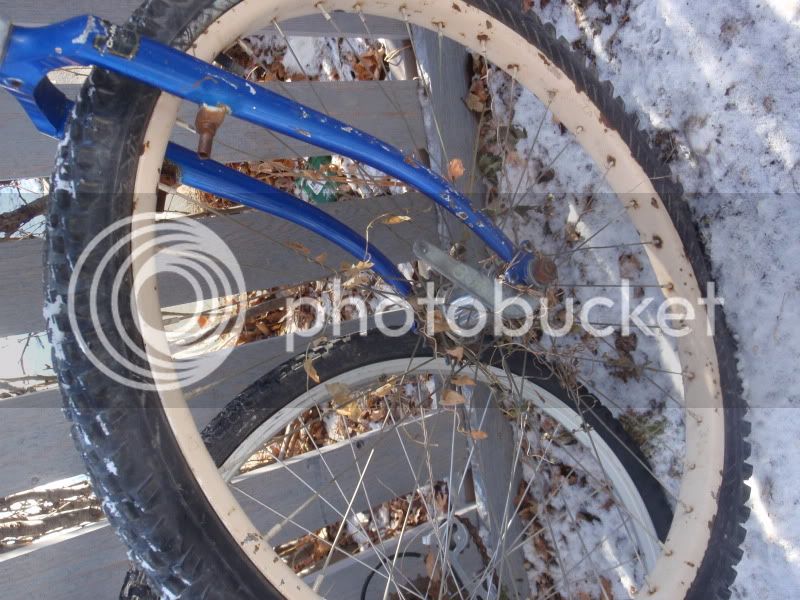 freebikes047.jpg