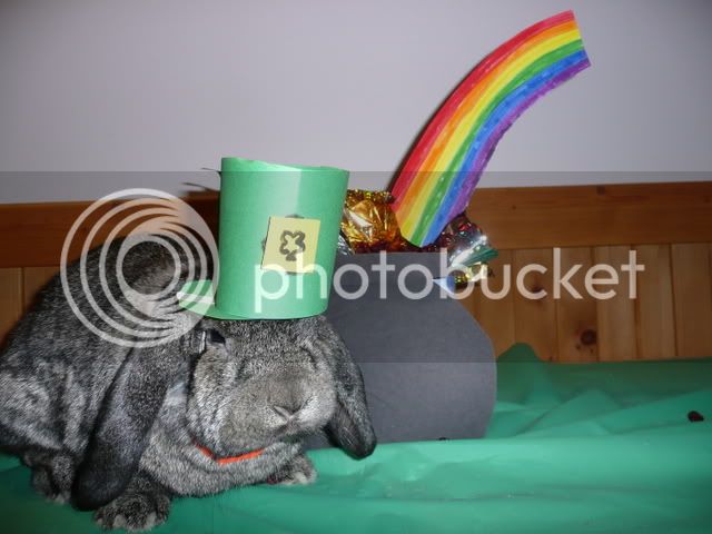 saintpattiesdaypics008.jpg