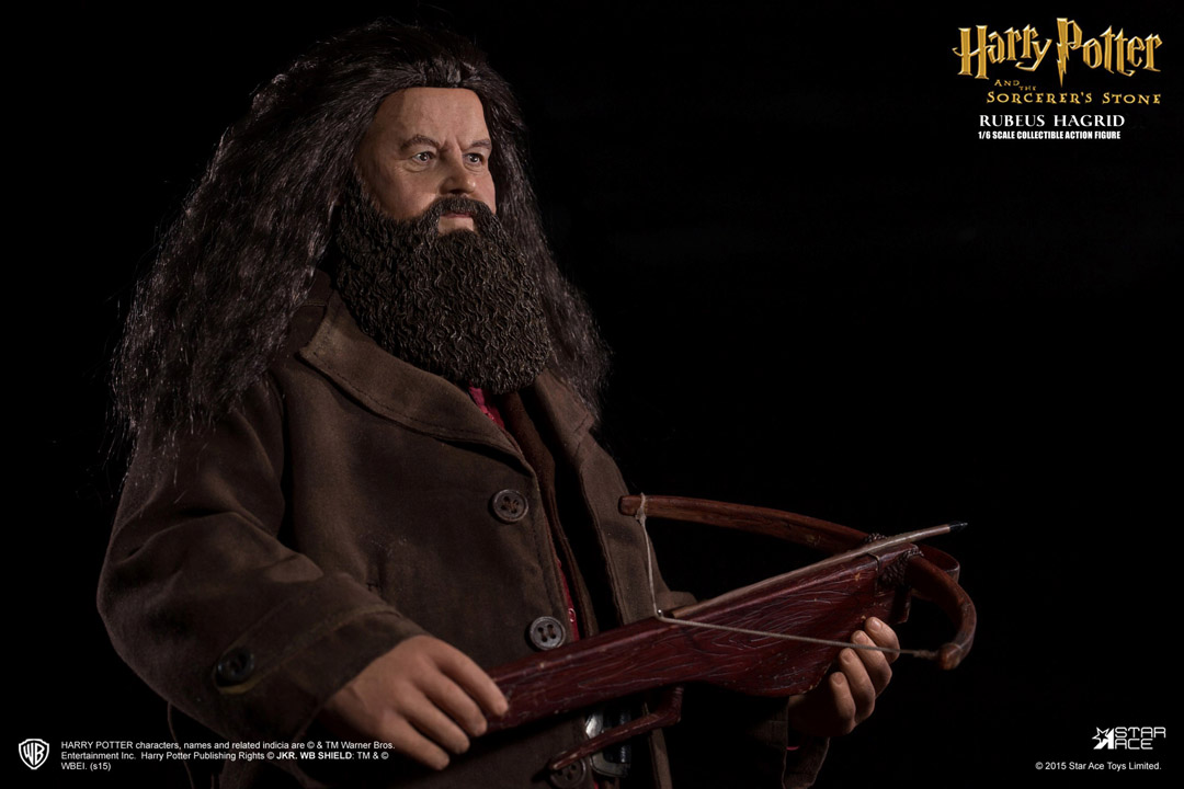Hagrid-D5.jpg