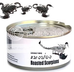 roastedscorpions.jpg