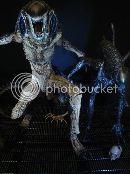 AVPRPredalien002.jpg