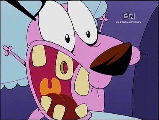 Courage-the-Cowardly-Dog-courage-the-cowardly-dog-21182438-539-407.jpg