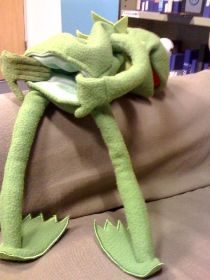 gizmodo-use-your-hand-puppet-as-a-cellphone-case-kermit-the-frog-goatse-416x555.jpg