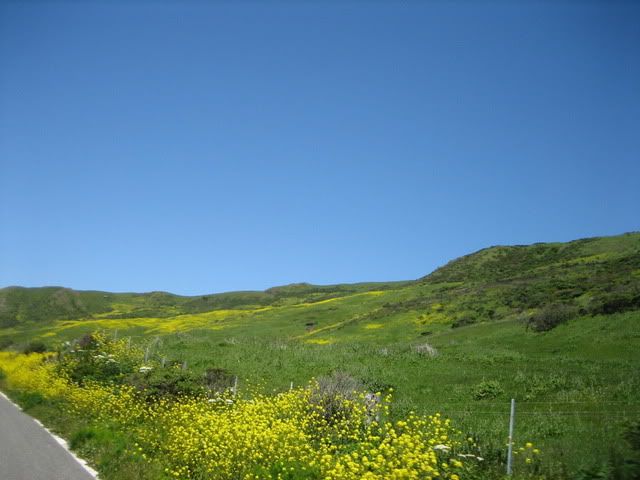 TrinityAlps2010030.jpg