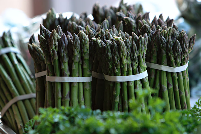 Asparagus-m.jpg