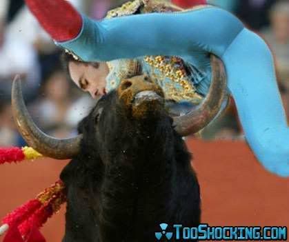 BullFighting.jpg