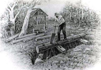 393px-Pitsaw00.jpg