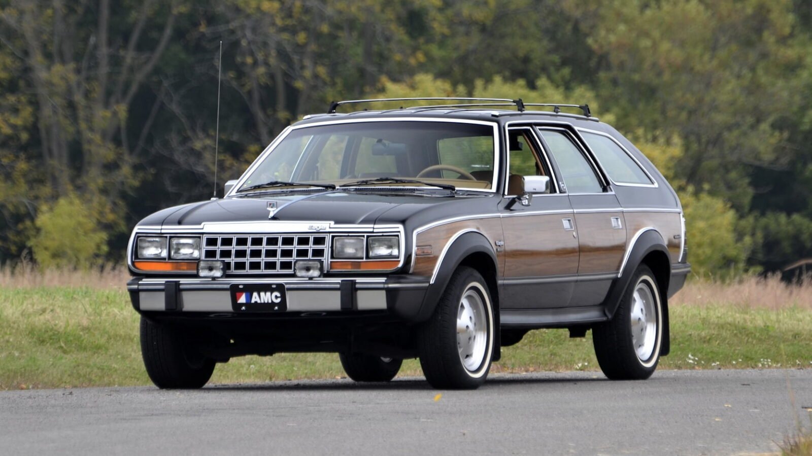 AMC-Eagle-3-1600x899.jpg