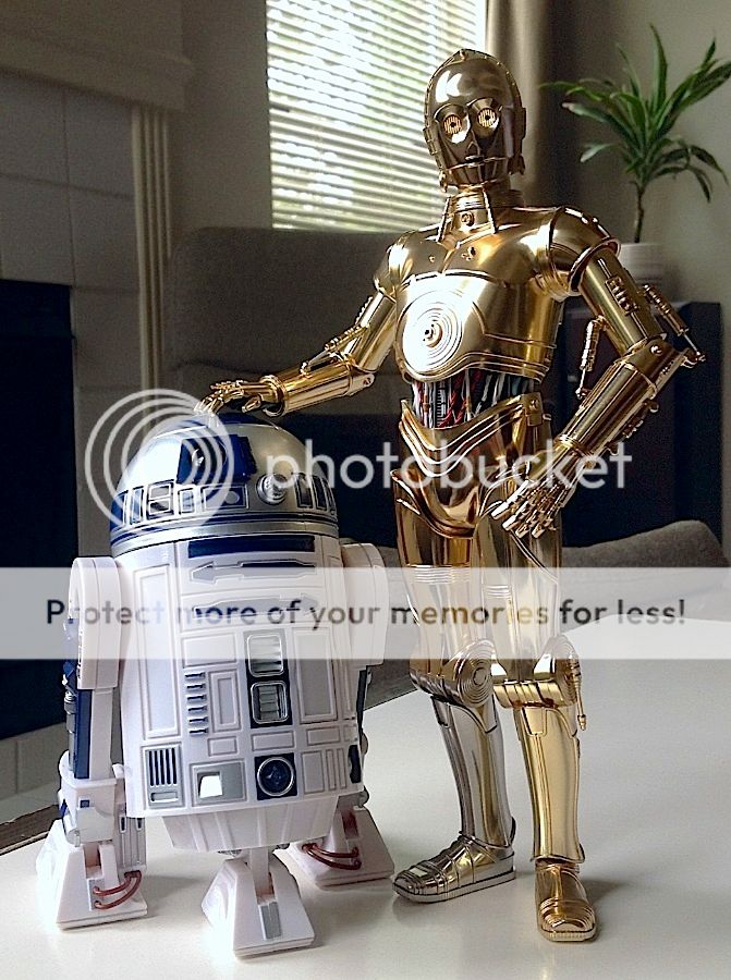 C-3POampR2-D2_zpsa16b6b7d.jpg