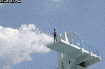 Behold+the+majestic+swan+dive_de5765_4919081.gif