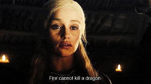 fire-cant-kill-a-dragon-icegif.gif