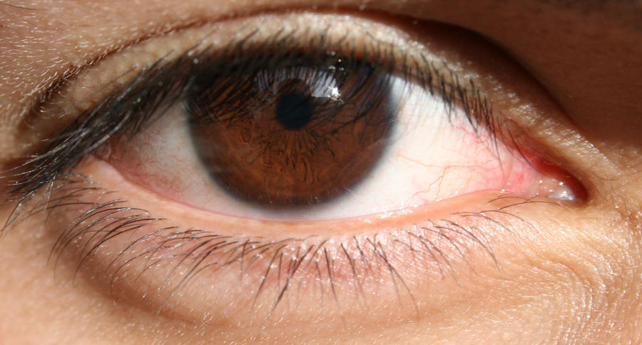 Brown_eye_by_EMOXEMOEMOGIRL666.jpg