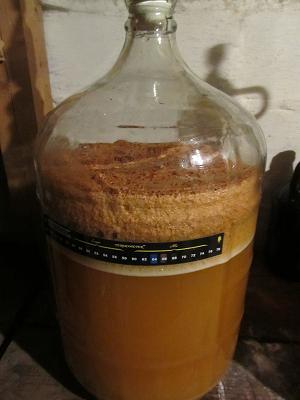 fermenting-cider.jpg