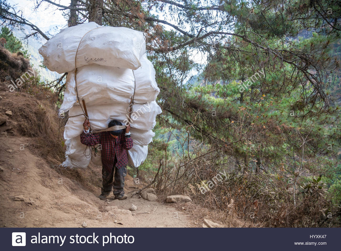 a-man-carrying-a-huge-load-on-his-back-up-a-steep-unpaved-trail-HYXK47.jpg