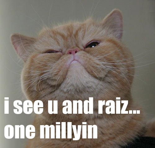 lolcat_raisebid.jpg