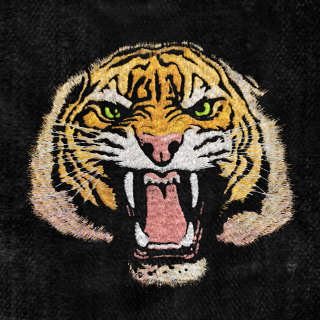 tiger_back_by_idmcustoms-dbsyqeh.jpg