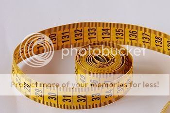 350px-Plastic_tape_measure.jpg