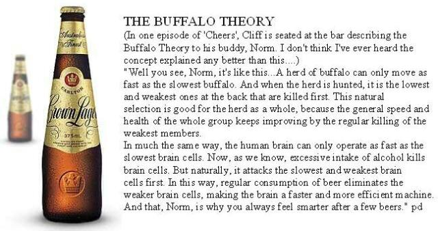 buffalo_and_beer_theory.jpg