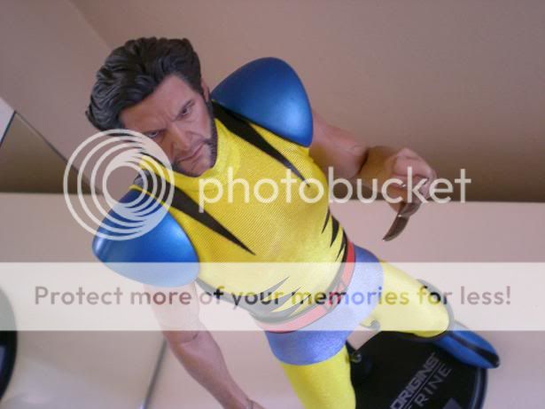 Wolverine020.jpg