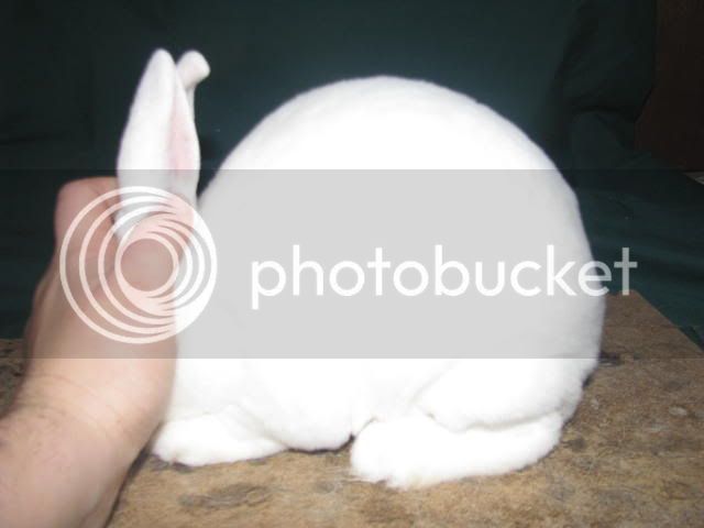 Rabbits025.jpg