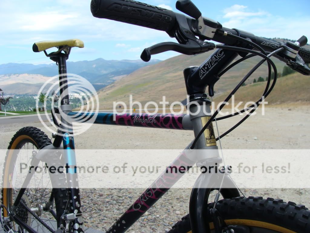 Bikes2684.jpg