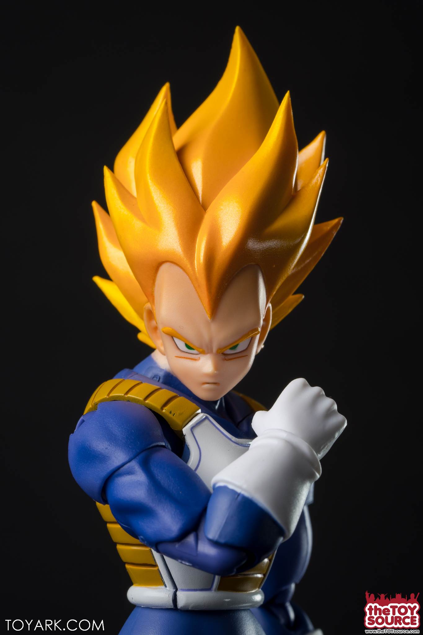 SHF-Vegeta-Premium-11.jpg