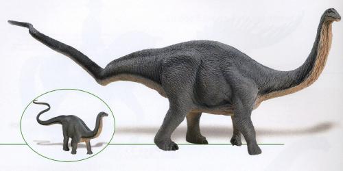 ws_3004-apatosaurus.jpg