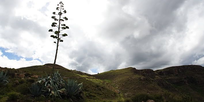 lesotho2010148.jpg