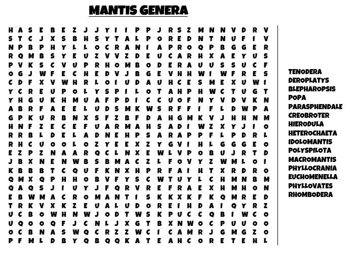 mantis_genera_word_search_by_alexandersmantids-d9wfvry.jpg