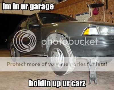 LolCatRenderer2_aspxtopiminurgaragebottomholdinupurcarzsize35imagenameqzPtZAAKngWD.jpg