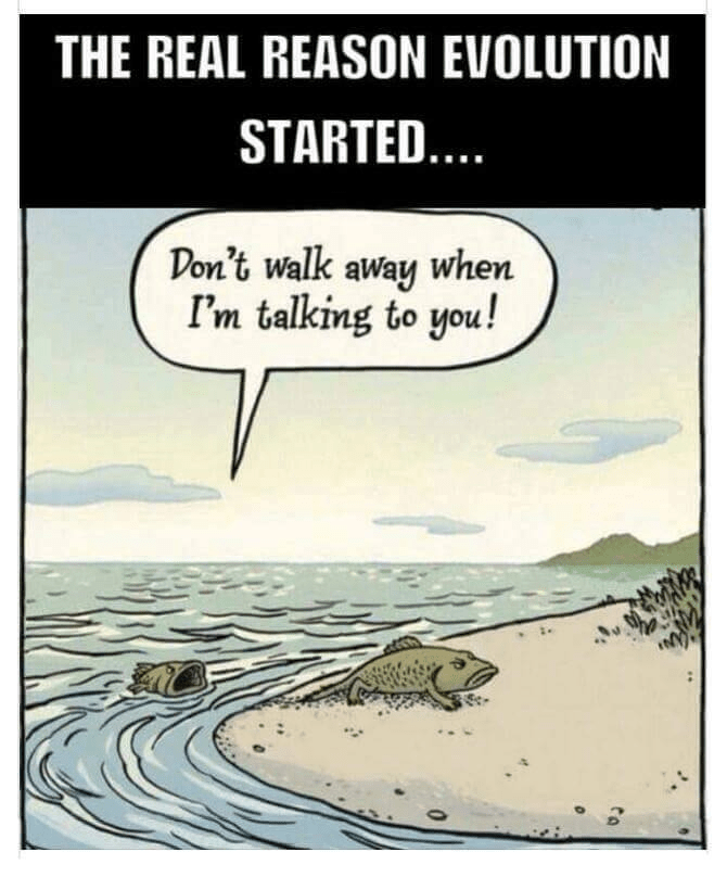 How-Evolution-Started.png