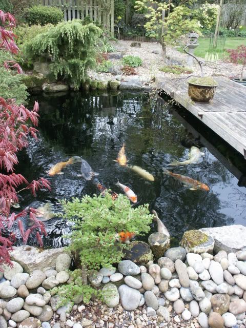 pond60.jpg