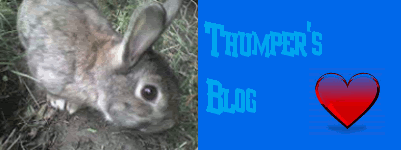 ThumperBlog.gif