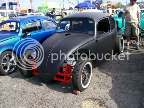 Beetle2.jpg