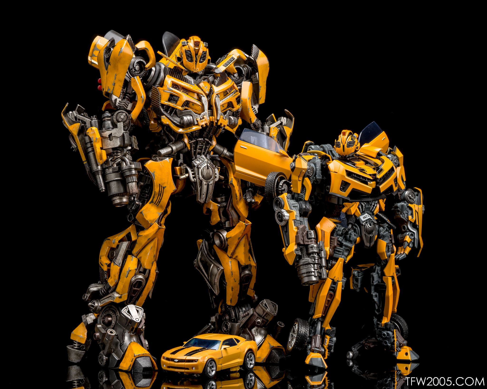 3A-Bumblebee-072.jpg