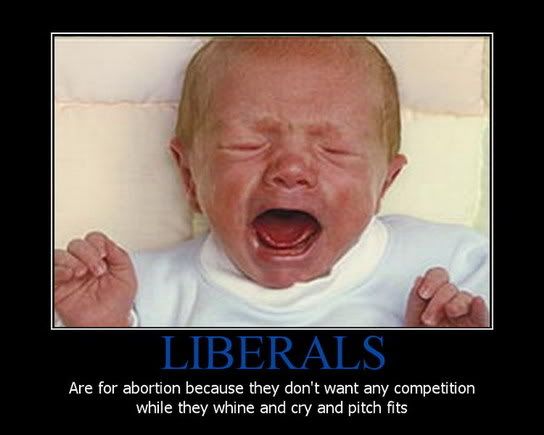 liberals_poster.jpg