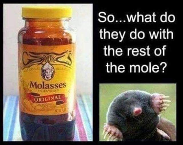 May be an image of text that says So...what do they do with the rest of the mole? ለርሕዕ Molasses NACAREI ORIGINAL 知配糕