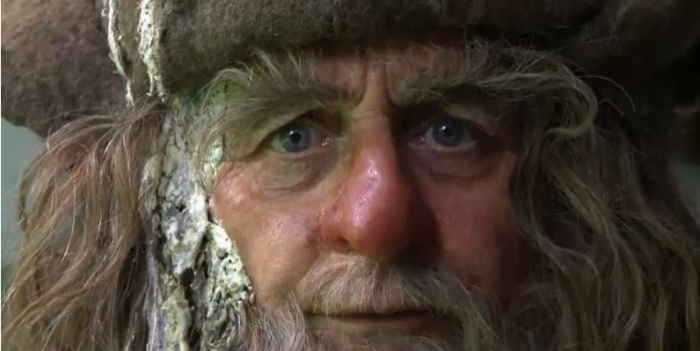 radagast-close-up.jpg