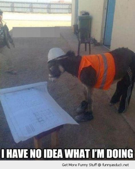 funny-no-idea-builder-work-man-donkey-ass-pics.jpg