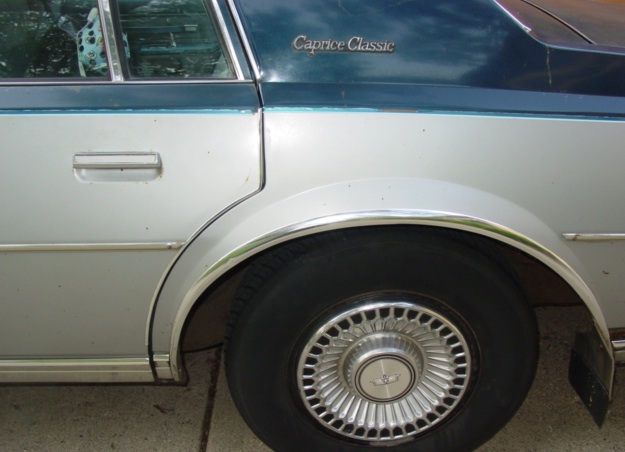 1979Caprice_Clean2_Outside.jpg