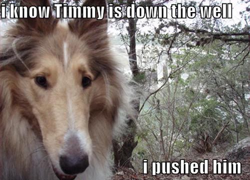 lassie-pushed-timmy-down-the-well.jpg