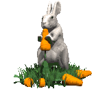 rabbit_eating_carrot_lg_clr.gif