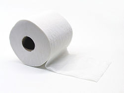250px-Toiletpapier_(Gobran111).jpg