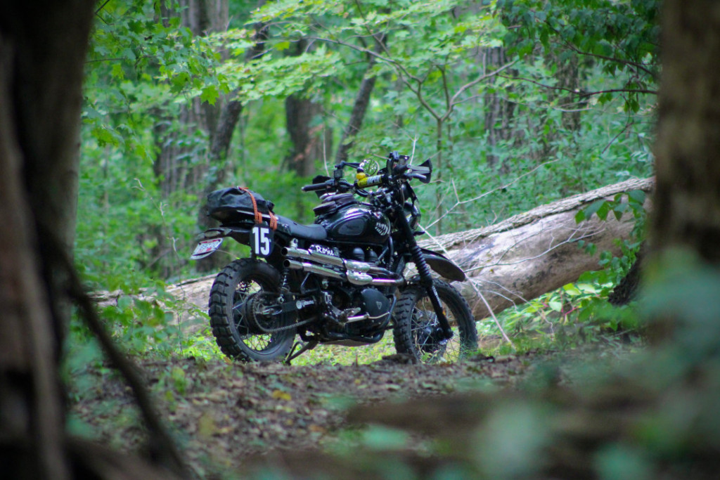 Triumph Scrambler Enduro