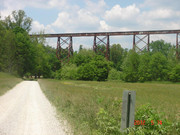 Tulip-Trestle.jpg