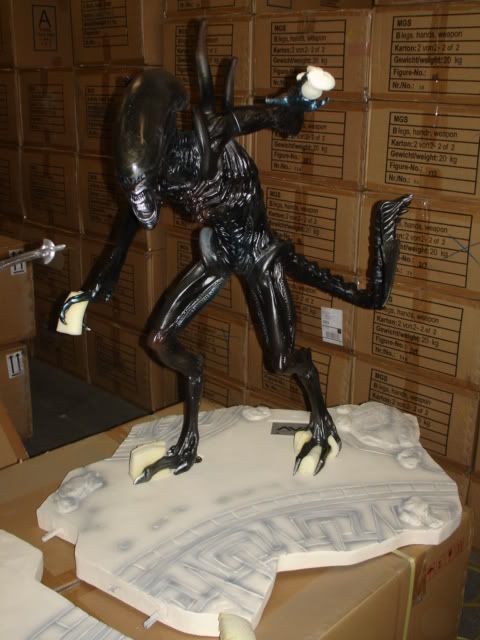 AvP021.jpg